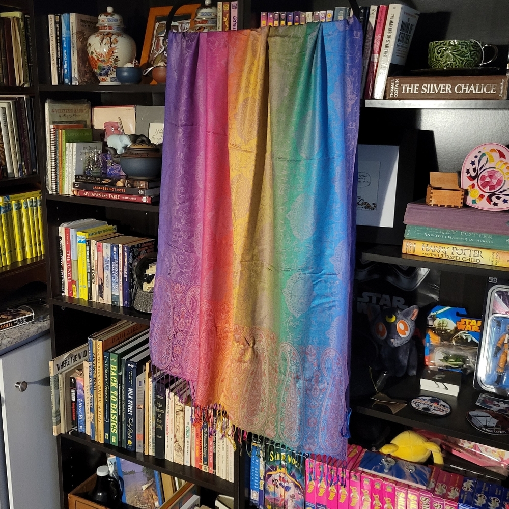 Rainbow Scarf NWOT
